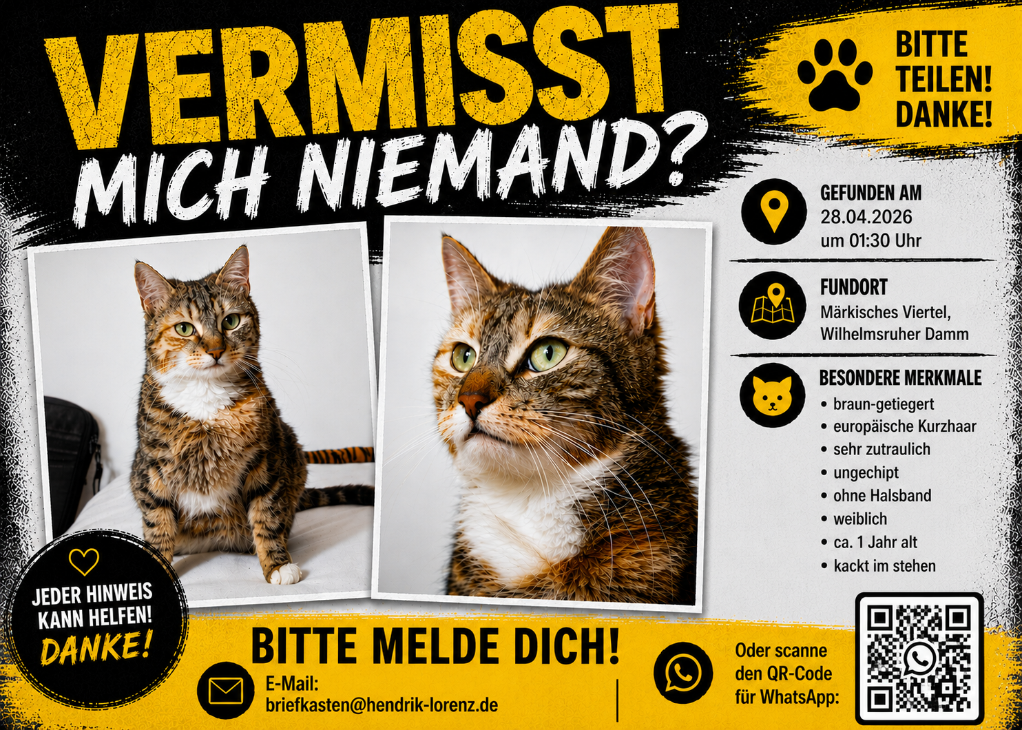 Katze zugelaufen