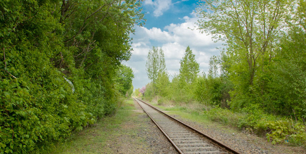 heidekrautbahn